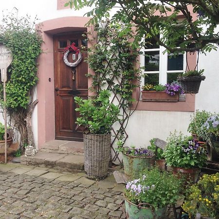 All Seasons Bed & Breakfast Kerpen  Екстериор снимка
